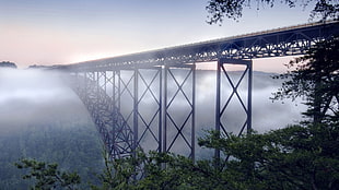 gray bridge landmark, landscape, bridge