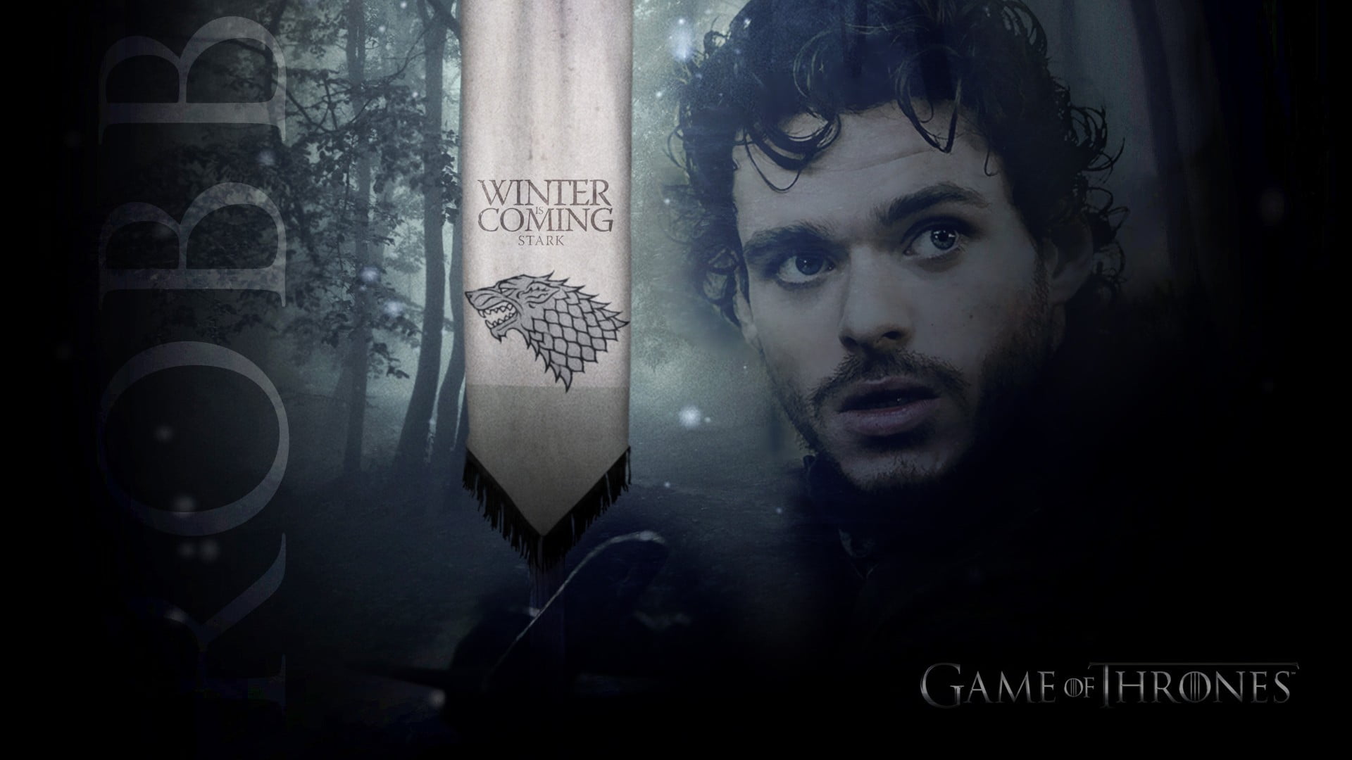 Game of Thrones Winter is Coming digital wallpaper, Game of Thrones, Robb Stark