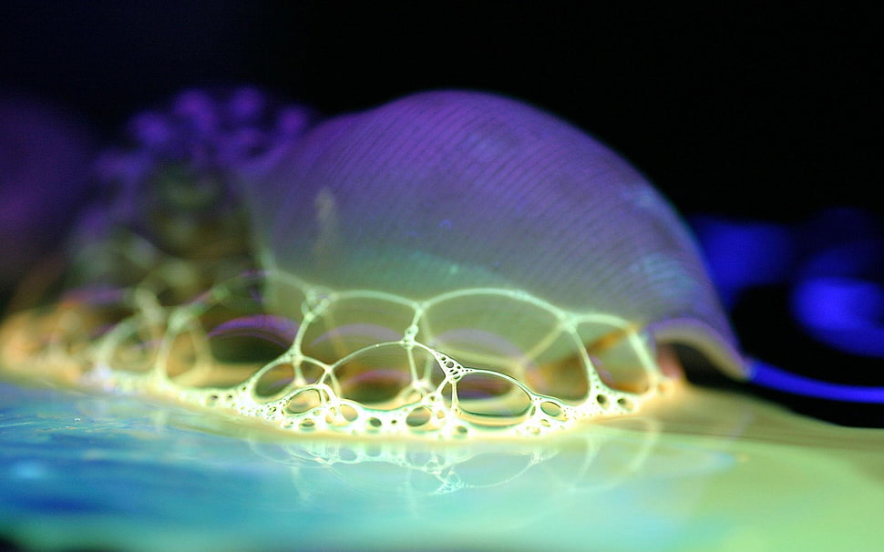 Drops,  Water,  Liquid,  Bubbles HD wallpaper