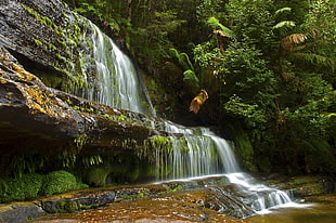 photo of water falls and trees