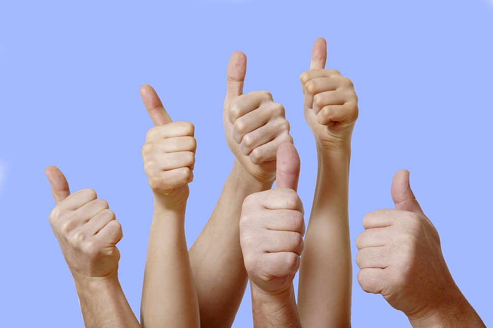 person's hands, hands HD wallpaper