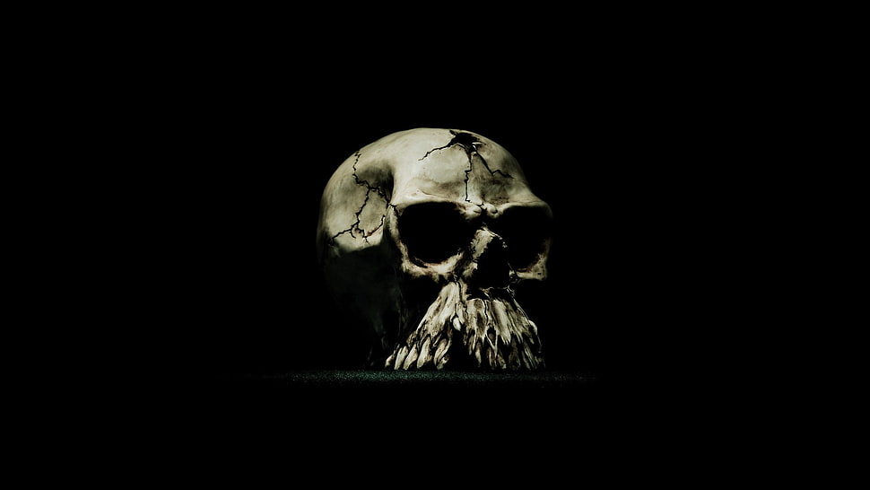 white skull decor, minimalism, digital art, simple background, skull HD wallpaper