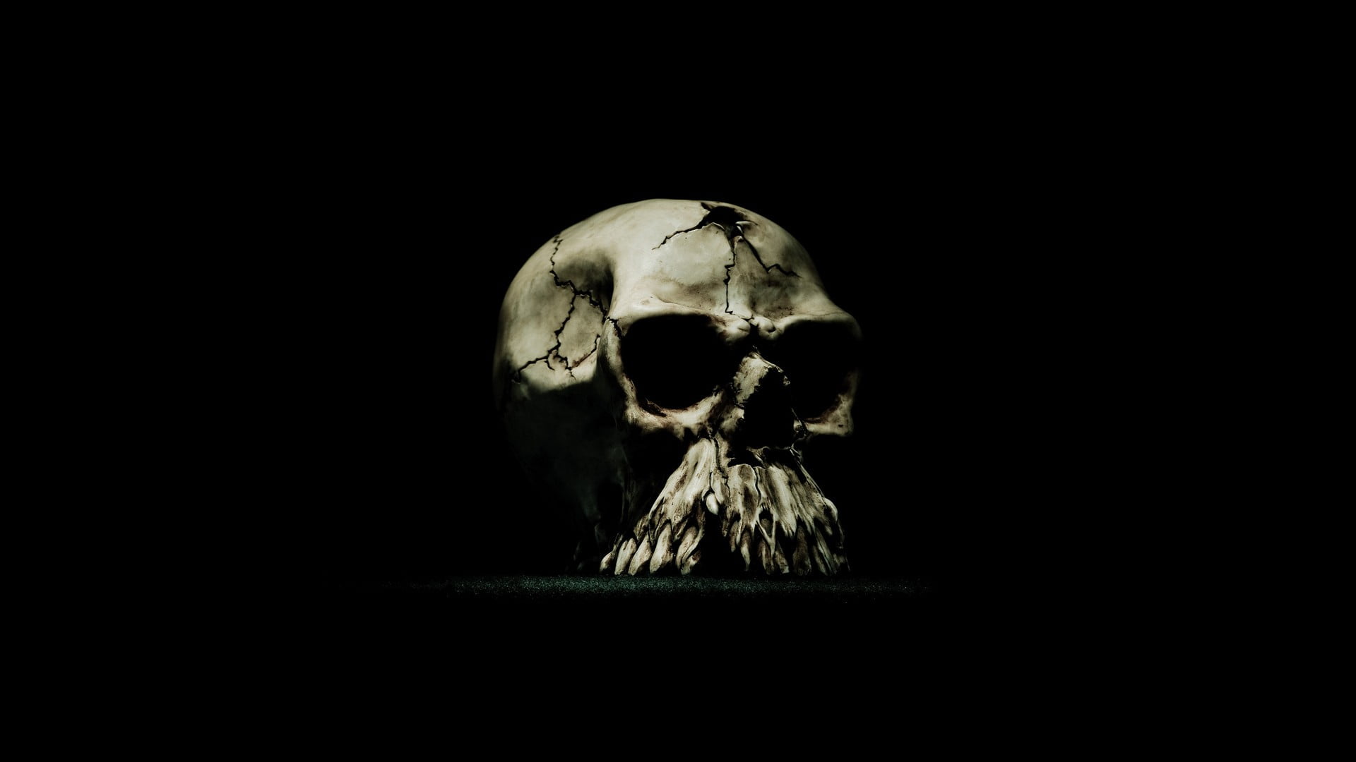 white skull decor, minimalism, digital art, simple background, skull