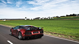 red coupe, Lamborghini Aventador, Lamborghini, road, car HD wallpaper