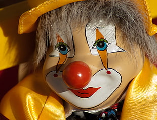 photo of person wearing Clown costume