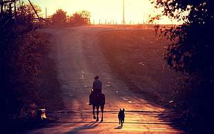 silhouette photography of person riding horse followed by dog on road during sunset HD wallpaper