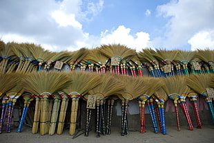 brown brooms, trinidad HD wallpaper