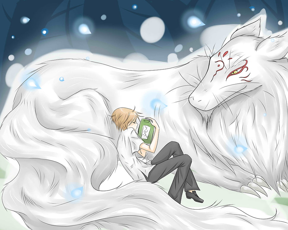 Natsume's Book of Friends illustration, Natsume Book of Friends, Natsume Yuujinchou HD wallpaper