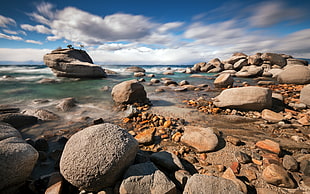 brown rocks, rock, sea HD wallpaper