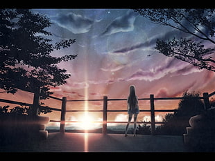 green leafed tree, sunlight, stars