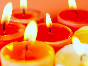 macro shot photography of red wax candles HD wallpaper