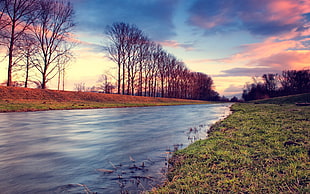 body of water near trees photography HD wallpaper