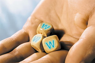 human holding three brown dice