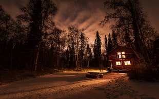 brown wooden 2-storey house, nature, landscape, snow, winter