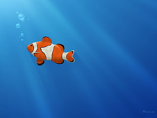 orange and white clown fish illustration, fish, clownfish, bubbles, blue background