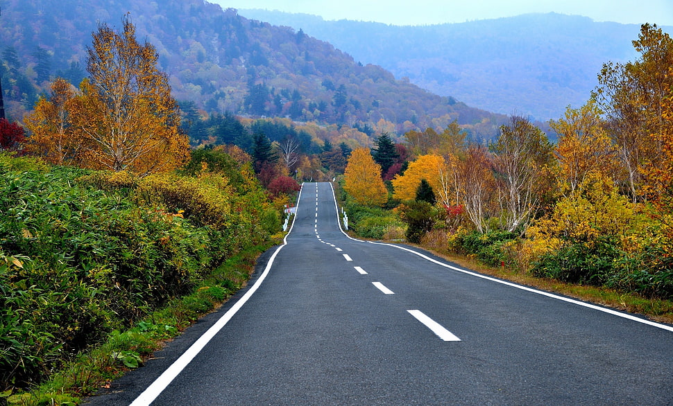 black asphalt road, landscape, road HD wallpaper