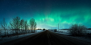 green northern lights, aurorae, road