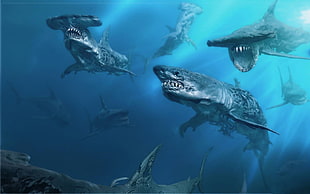 assorted sharks underwater digital wallpaper