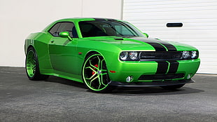 green Dodge Challenger, car, Dodge Challenger, green cars