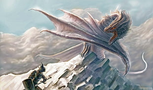 dragon and knight warrior illustration