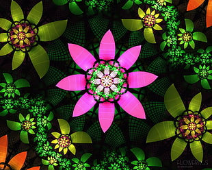 pink and green petaled flower kaleidoscope illustration