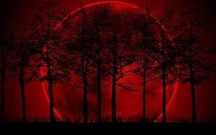 silhouette of trees illustration, Moon, trees, digital art, red