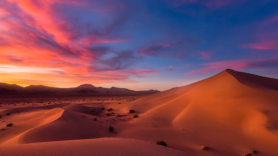 desert illustration, desert HD wallpaper