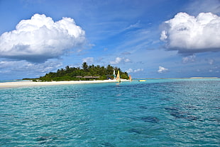 brown and green island during daytime