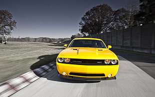 yellow Dodge Challenger HD wallpaper