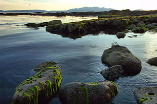 gray boulders in body of water during daytime, ardrossan HD wallpaper