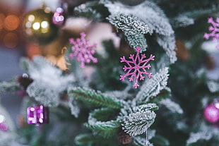 purple snowflake decor, Snowflake, Christmas decoration, Spruce