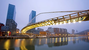 white metal bridge, cityscape, bridge, river, reflection