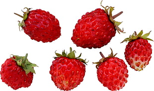 closeup photo of five strawberries
