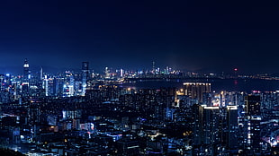 city buildings, night, city lights, metropolis , blue