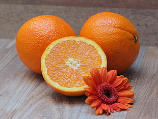 orange Gerbera Daisy flower beside sliced orange fruit