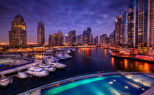 photo of white bowider boats docks near city at night time HD wallpaper