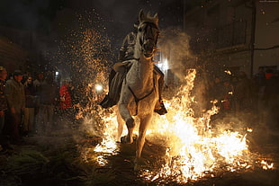 horse running on fire during night time