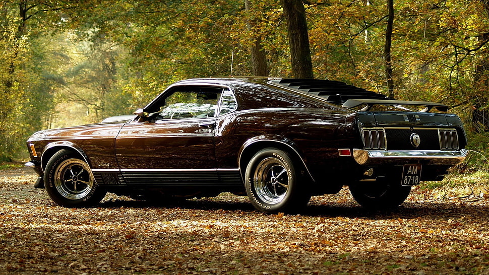 brown Ford Mustang parked near trees HD wallpaper