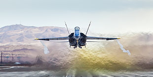 gray fighter jet illustration, jet fighter, McDonnell Douglas F/A-18 Hornet, airplane, military HD wallpaper