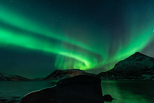 photo of green sky during night time HD wallpaper