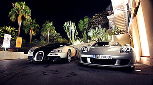 silver Porsche coupe, Bugatti Veyron, Porsche, Porsche Carrera GT, car