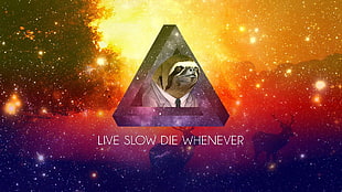 live slow die whenever text overlay, sloths, motivational, digital art, artwork HD wallpaper