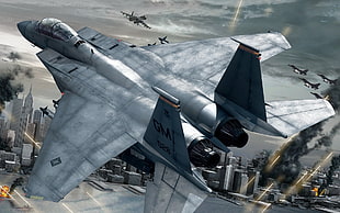 gray jet fighter game application