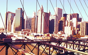 suspension bridge near buildings during daytime