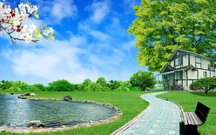 house by the pond and trees HD wallpaper