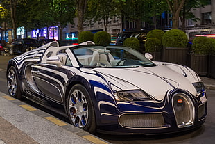 white, black and blue Bugatti Veyron