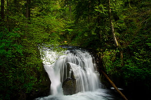shallow focus of waterfalls during daytime