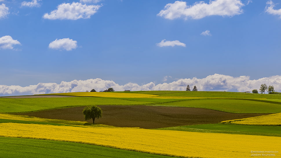 green grass field under cloudy sky at daytime HD wallpaper