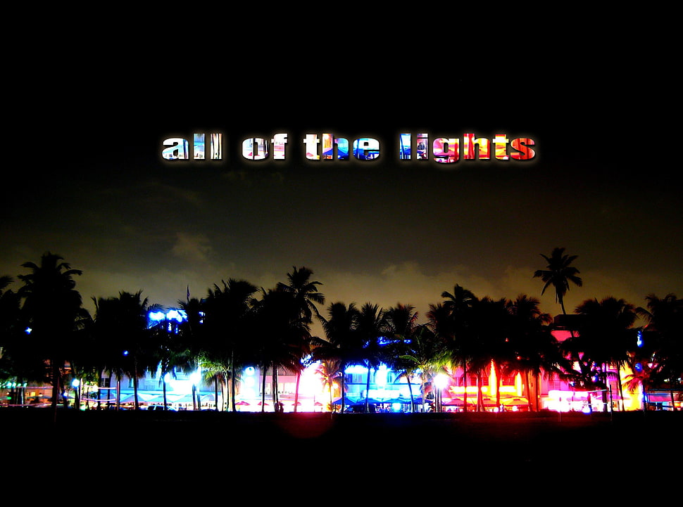 all of the lights with palm trees background, typography, neon, night HD wallpaper