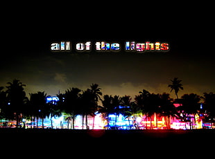 all of the lights with palm trees background, typography, neon, night